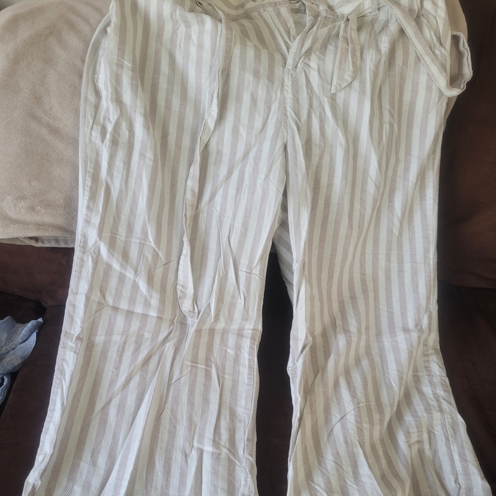 Torrid Pants